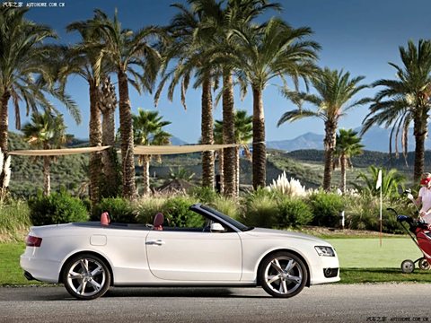 2010 2.0TFSI Cabriolet