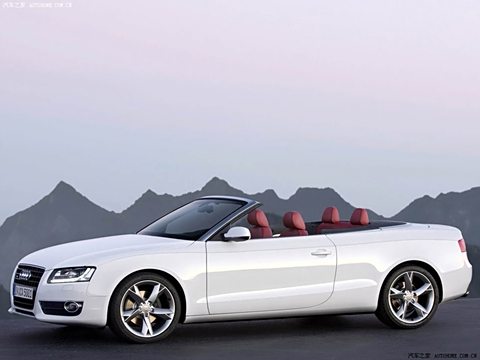 2010 2.0TFSI Cabriolet