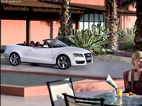 2010 2.0TFSI Cabriolet