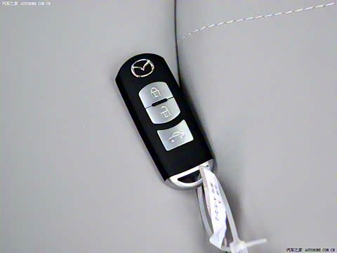 2009�� 2.5L �Զ������