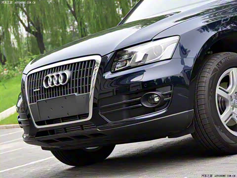 2010�� 2.0TFSI ������