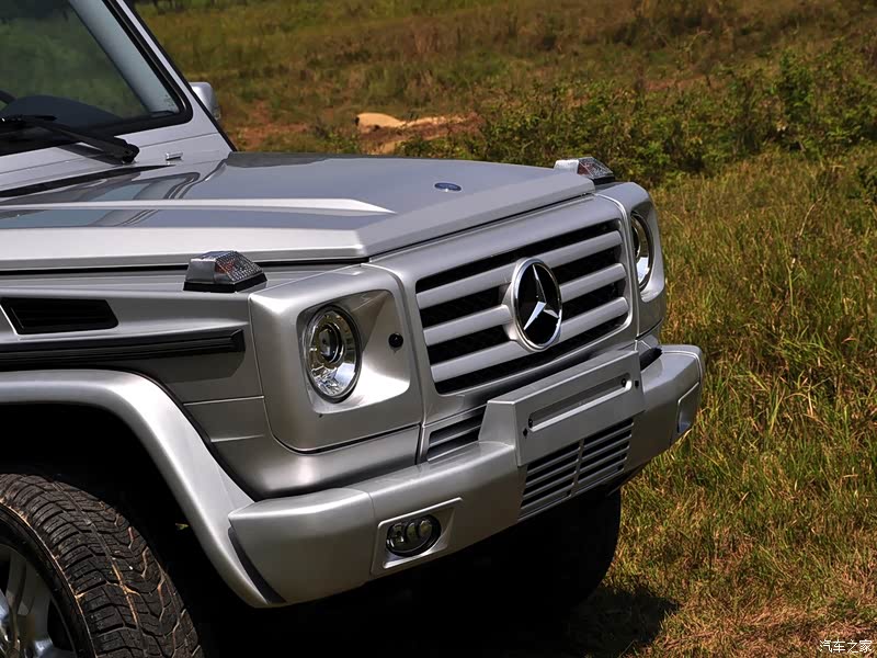 奔驰(进口) 奔驰g级 2010款 g500