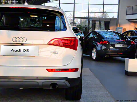 2010�� 2.0TFSI ԽҰ��