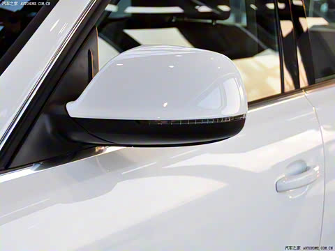 2010�� 2.0TFSI ԽҰ��