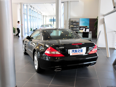 2010 SL 300