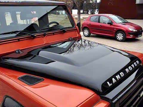 2010�� ������������