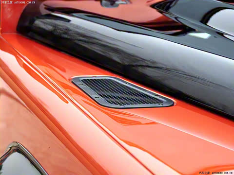 2010�� ������������