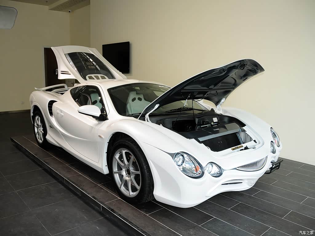 光冈自动车 大蛇 2010款 3.3l 自动标准型