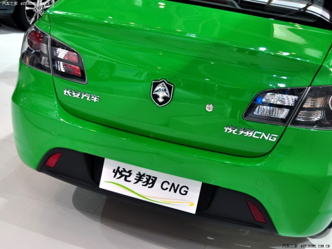 2010 CNG