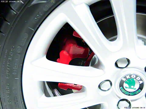 2010�� 2.0TSI RS