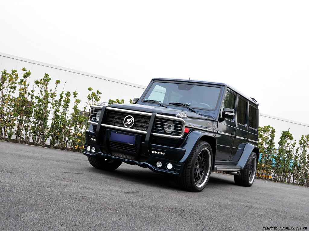 梅赛德斯-amg 奔驰g级amg 2009款 amg g 55