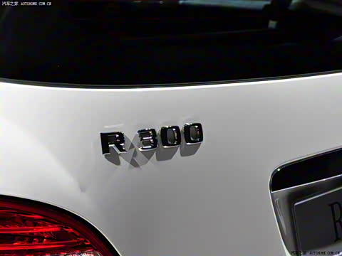 2010�� R 300 L ������