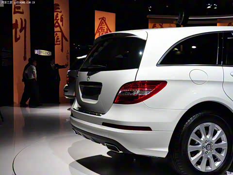 2010�� R 300 L ������