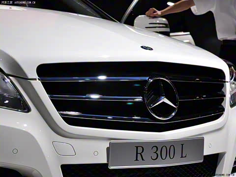 2010�� R 300 L ������