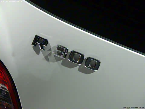 2010�� R 300 L ������