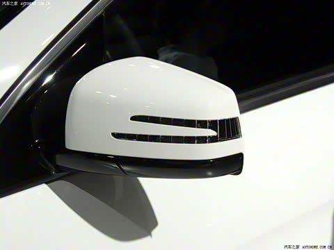 2010�� R 300 L ������