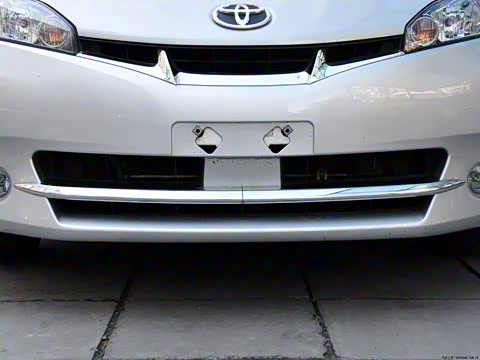 2010�� ������