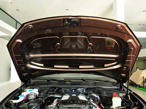 2011�� 3.0TSI ������