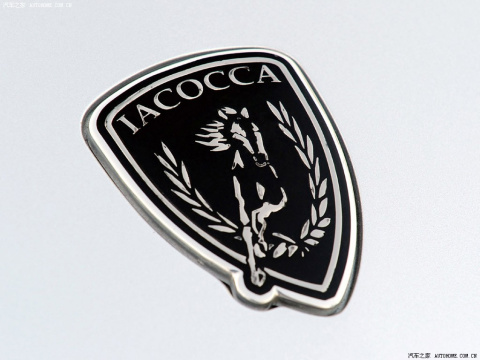 2010 Iacocca Silver 45