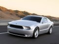 Mustang 2010 Iacocca Silver 45